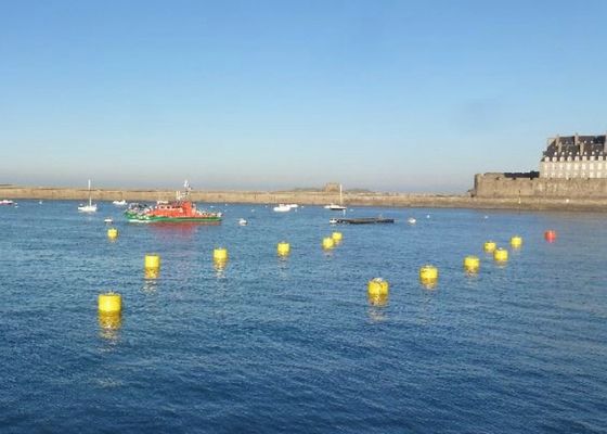 Качество Томбуй зачаливания штанги оффшорный, томбуй маркировочного бакена политена на жизнь воды завод