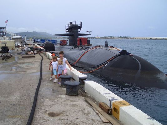 Качество ТипⅥ гидро пневматический тип автошина цепи обвайзера военных кораблей обвайзера пневматическая резиновая завод