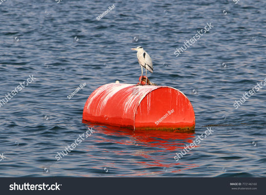 Качество Пена причаливая томбуя стальной одиночной шлюпки плавая излишная морская заполнила многофункциональное завод