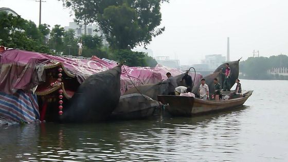 Качество Обвайзер шлюпки морского раздувного обвайзера шлюпки гидро пневматического резиновый плавая завод